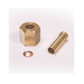 Brass Euro Flare Fittings - 1/4"